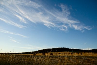 29th September 2011 late summer