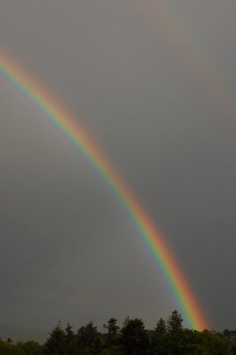 16th December 2011 rainbow
