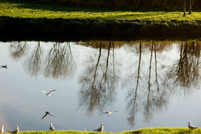 30th December 2011 River Don