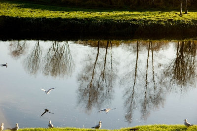 30th December 2011 <br> River Don