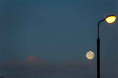 10th January 2012  winter moon