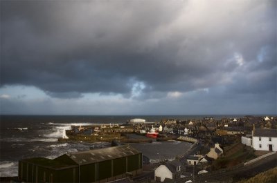 26th January 2012 <br> windy day