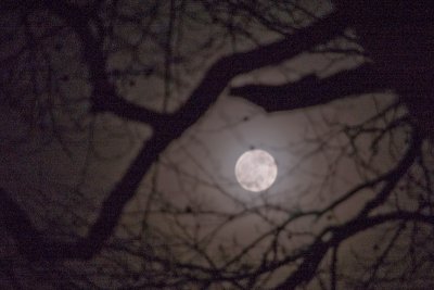 7th February 2012  frosty moon