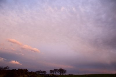 16th March 2012 pinkish sky