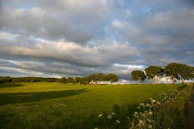 14th June 2012 summertime