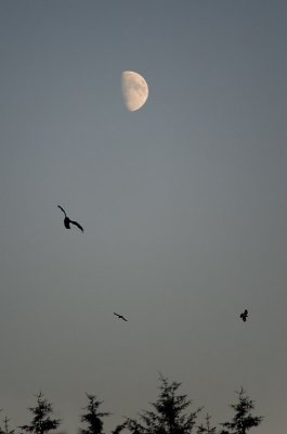 27th July 2012 <br> moon