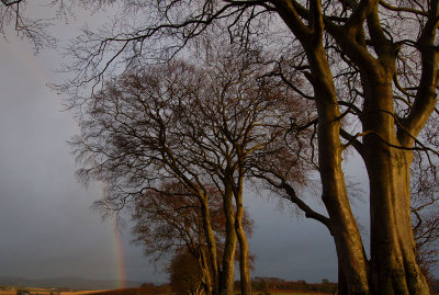 29th December 2007  rainbow appearing