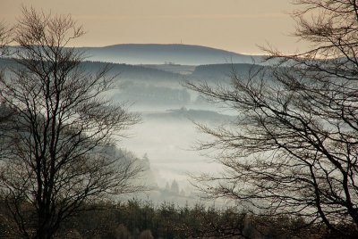 11th January 2008  frost and mist