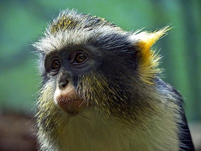 e 2BXZOO2   GH2 45-200  ps cs5 P1020718.jpg