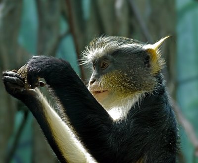 e e  BXZOO GH2 45-200  ps cs5 P1020699.jpg