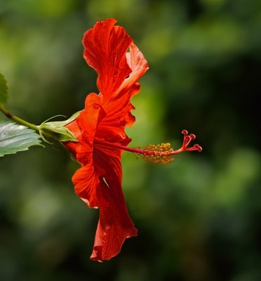 E 2BxZoo2  GH2  ps cs5 P1020521.jpg