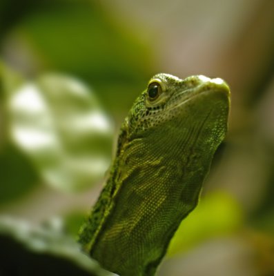 E BxZoo  GH2  ps cs5P1020434.jpg