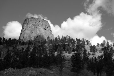 e Vacation yellowstone 2011  LX3 RAW  FS only P1050145.jpg