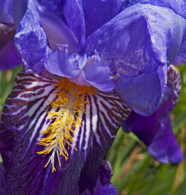 e iris  lx3  ps cs5 P1050865.jpg