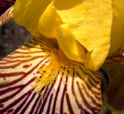 e iris  lx3  fs only P1050867.jpg