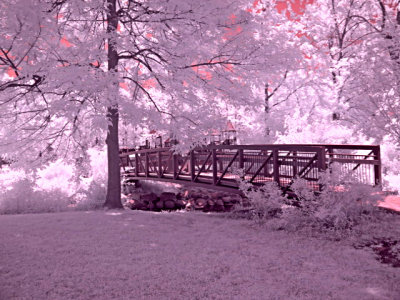 e IR  canon S60 FS only  IMG_2745.jpg