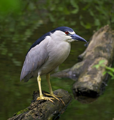 e GH2  bx zoo  pscs5  P1060041.jpg