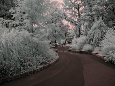 e IMG_3137.jpg