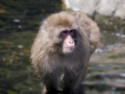 E 2 GH2 cpz    PS CS5  P1090201.jpg
