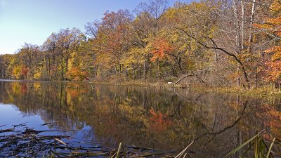 e Fall Foliage  2011  GH2  ps cs5 P1130499.jpg