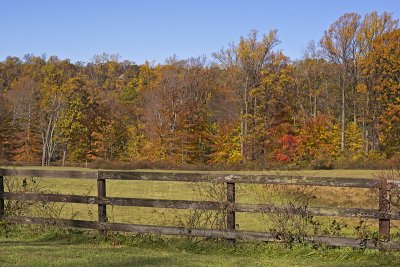 e Fall Foliage  2011  GH2  ps cs5 P1130416.jpg