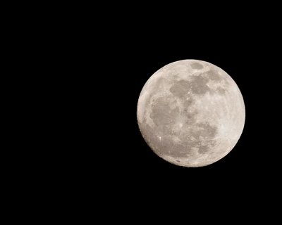 e   moon 2  P1160490.jpg