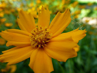 e  ZS20  P1010710.jpg