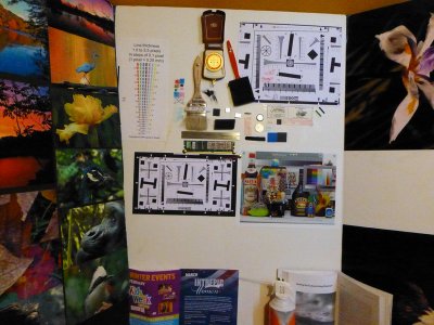 ZS20  iso 3200 P1020290.jpg