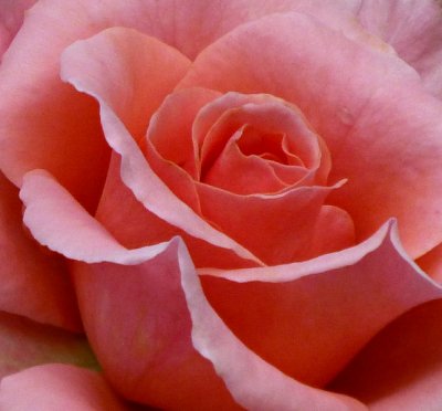e crop  ZS20  iA  P1020505.jpg