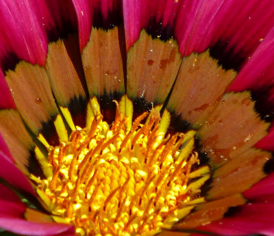 e CROP  zs20  P1020687.jpg