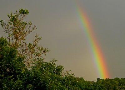 e rainbow zs20  P1030352.jpg