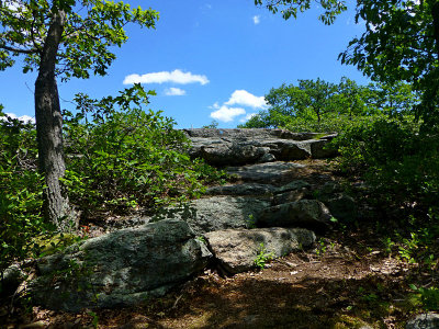 e ZS20 june 2012  moonachie park  P1050743.jpg