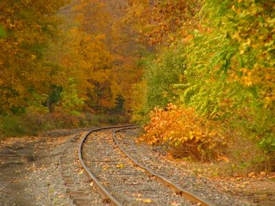 e Tracks  of color 1FZ10 ps cs2 P1120880.jpg