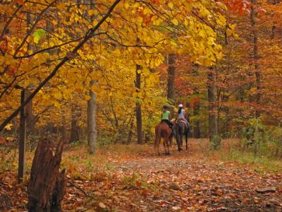 e  2 riding horses in the fall S70 ps cs2  IMG_11171.jpg