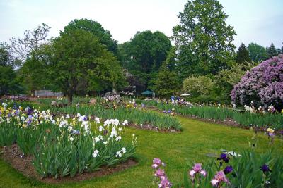 e fx01 Landscape Iris Garden 2006  wide view  P0061.jpg