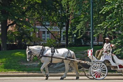 e Horse and carriage FX01  ps cs2 P081.jpg