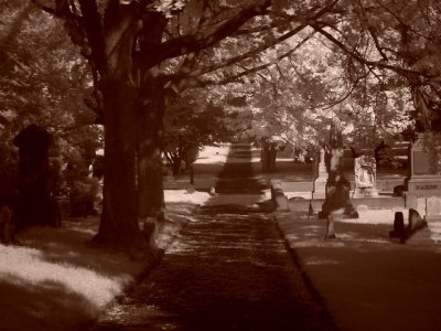 e InfraRed  GravePath 2 FX-01 FS only P3038.jpg