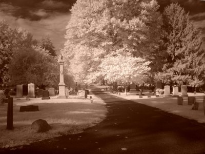 e InfraRed Graves 1 FX-01 FS only P1030060.jpg