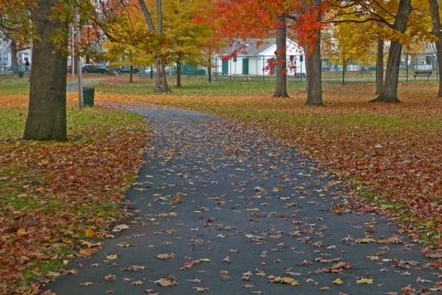 e Fall path watsessing park TZ3Blue ps cs P1643.jpg