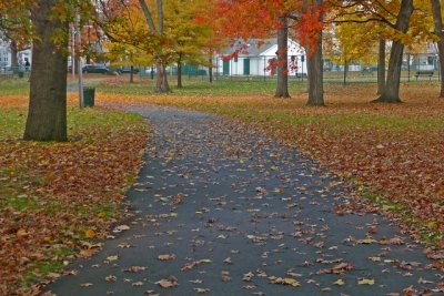 e Fall path watsessing park TZ3Blue  ps cs  P1643.jpg