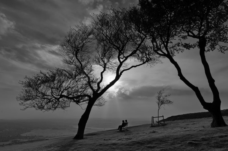 19th - Silhouettes