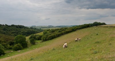 3rd - Sheep Combe