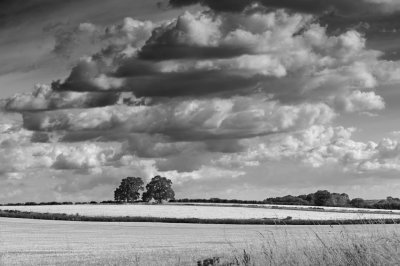 B&W Cloud Bothering