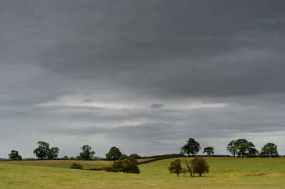 19th - Grey