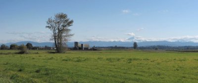 Dairy Farm & Mt. Baker