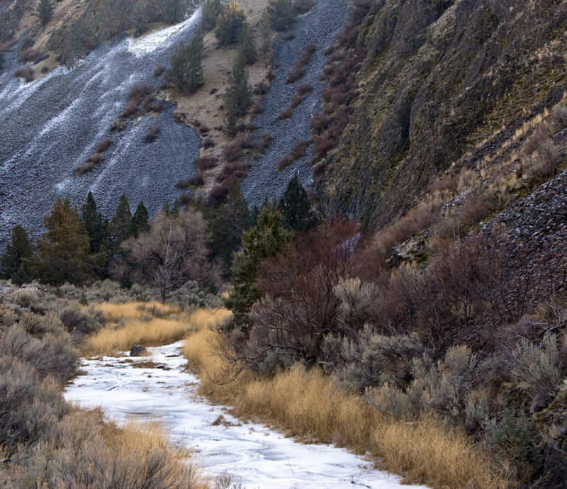 Cold Morning - Antelope, Oregon