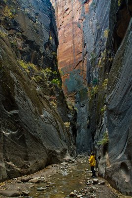 Zion Narrows