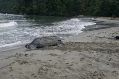 Another return to the Caribbean (1 of 4)