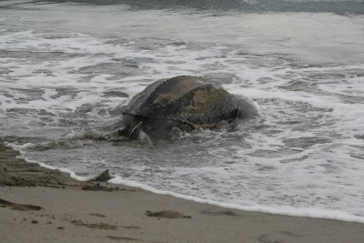 Yet another returns (7 of 8)