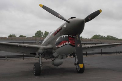 P40 Warhawk 001